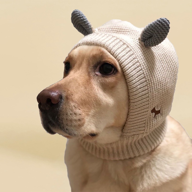 dog hats for big dogs