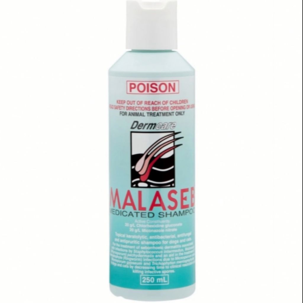 MALASEB MEDICATED SHAMPOO (250ML) Lazada Singapore