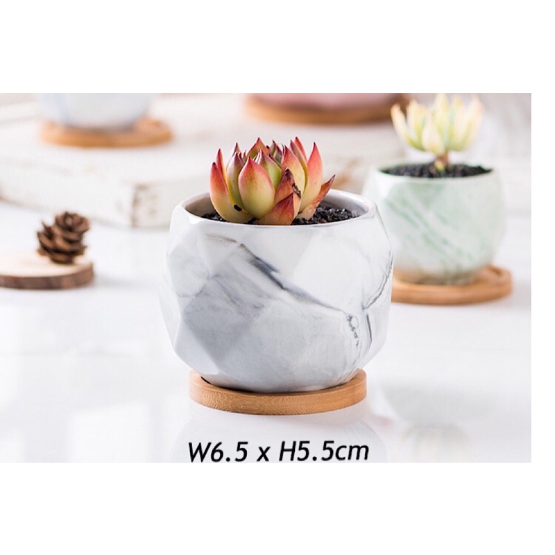 Succulent Pot Car Succulent Pot Small Plants Pot With Base Pumpkin Shaped Pot With Base Shopee Singapore