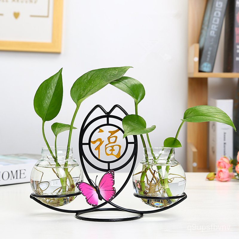 Creative Scindapsus Aureus Hydroponic Plant Utensils Flower Arrangement