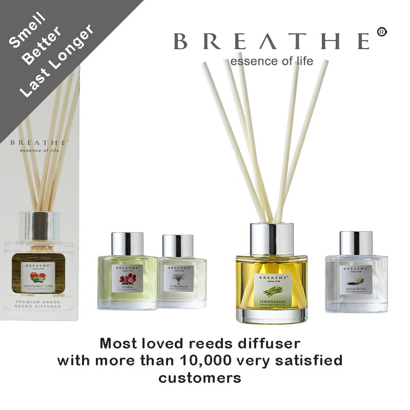 BREATHE Reeds Diffuser 50 ml/last 60 days Bubble Store