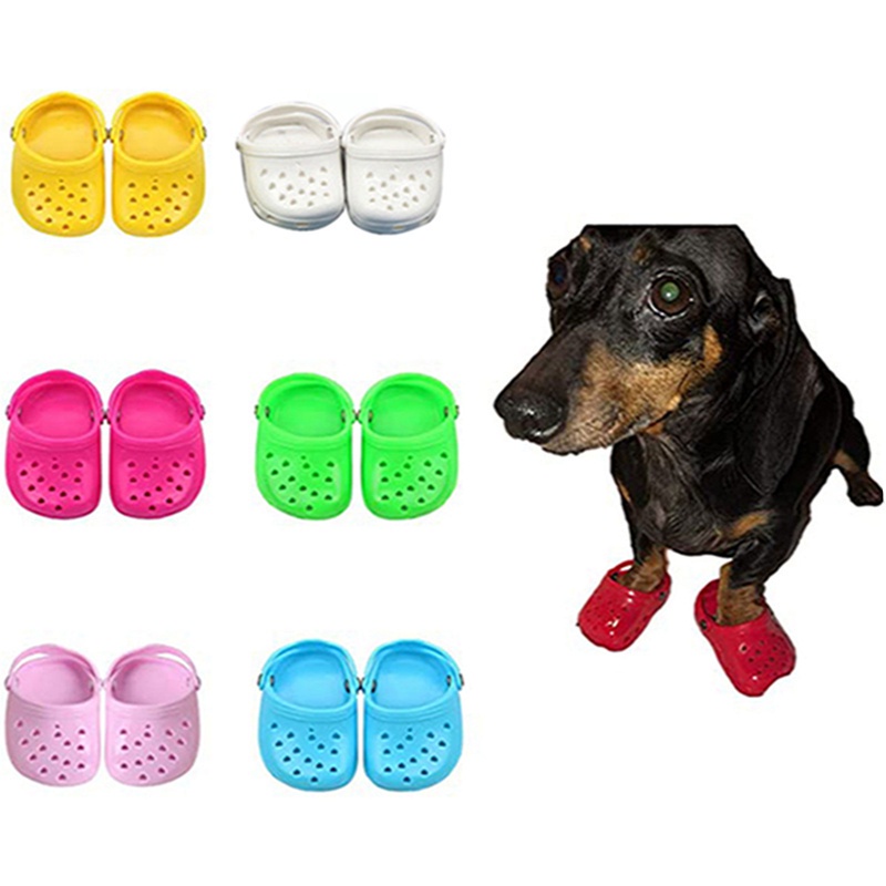 Dog crocs TikTok Dog crocs Shoes Dog crocs for Small Dogs,Lovely Dog crocs  Shoes for Small Dogs | Shopee Singapore