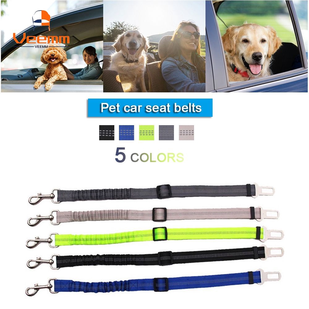 car seat belt for dogs