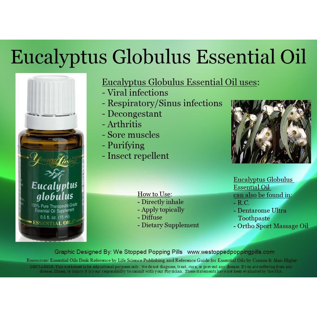 Young Living Eucalyptus Blue Essential Oil 5ml Lazada Singapore