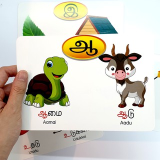 [Ready Stock] (Aged 3-5) Tamil Arichuvadi Flashcards / 165 Common Sight ...