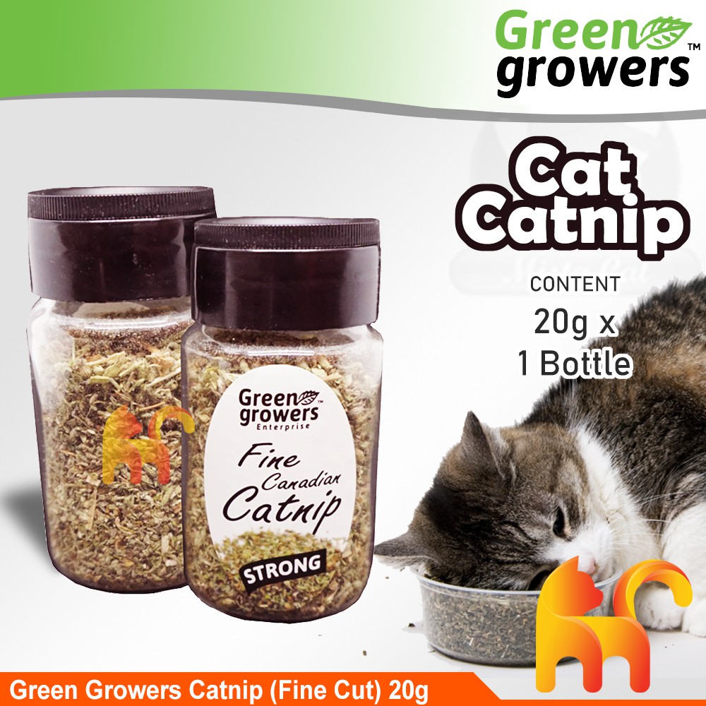 Green Growers Canadian Catnip Strong (Fine Cut) 20g  Catnip 