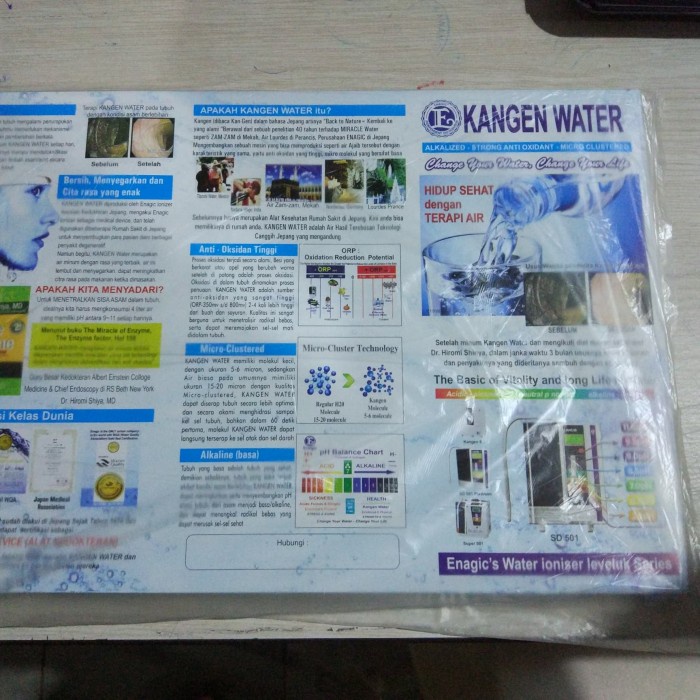 kangen water business plan pdf download