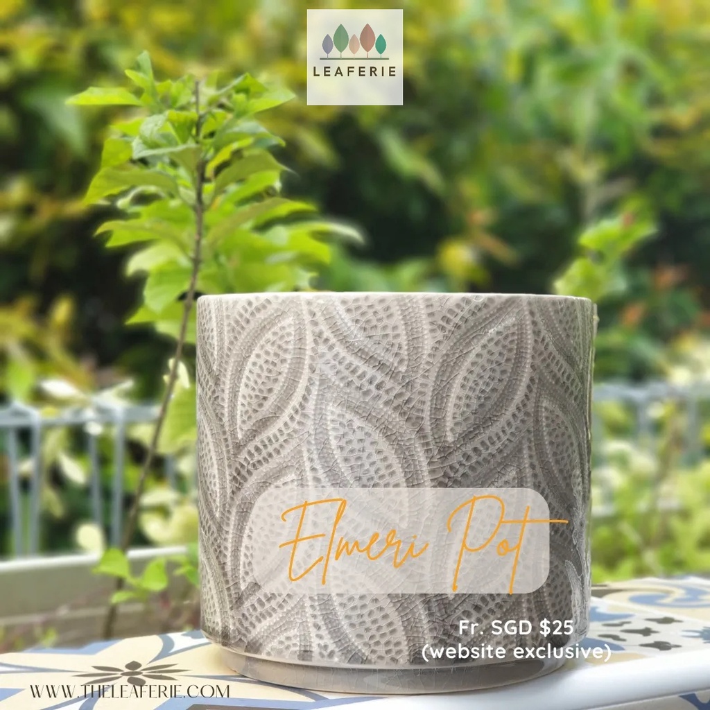[Sg seller] The Leaferie Elmeri Flowerpot . flowerpots . flower pot