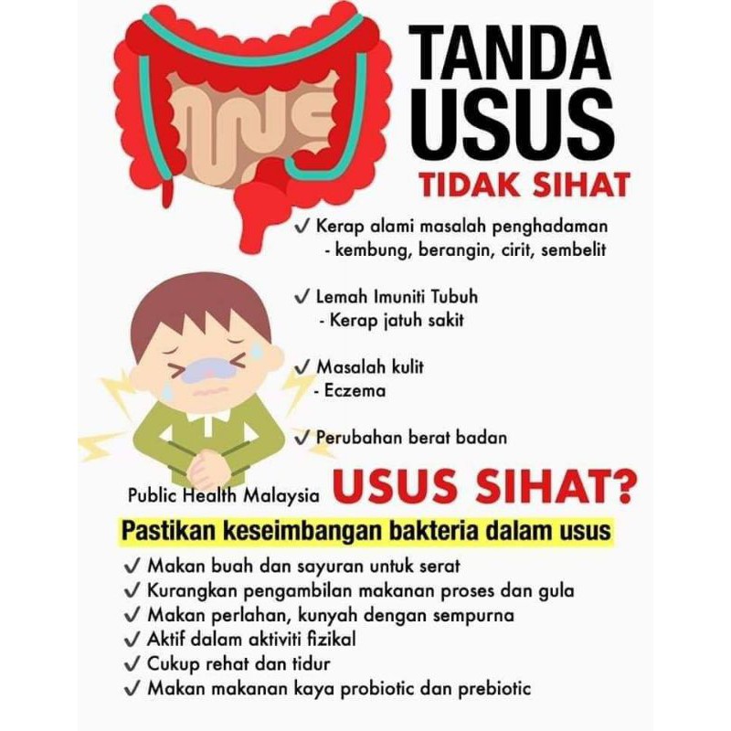 Supplement Untuk Usus Sihat