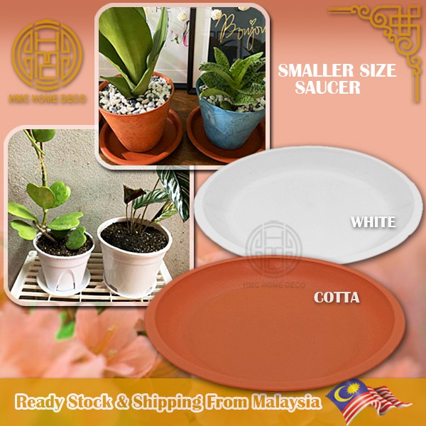 Pasu Flower Coating Flower Pot Shopee Singapore