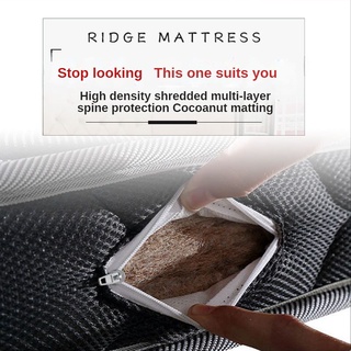 【HOT SALE】Foldable mattress Seahorse mattress 1.5m1.8m eco-friendly coconut palm mattress tatami mattress for good sleep #6