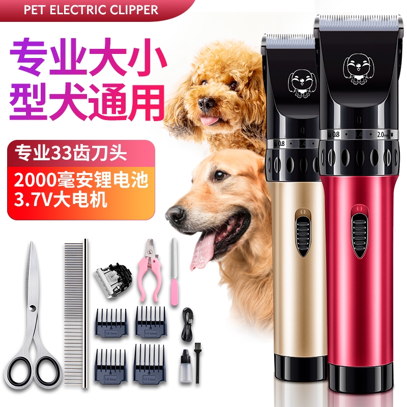dog shaver