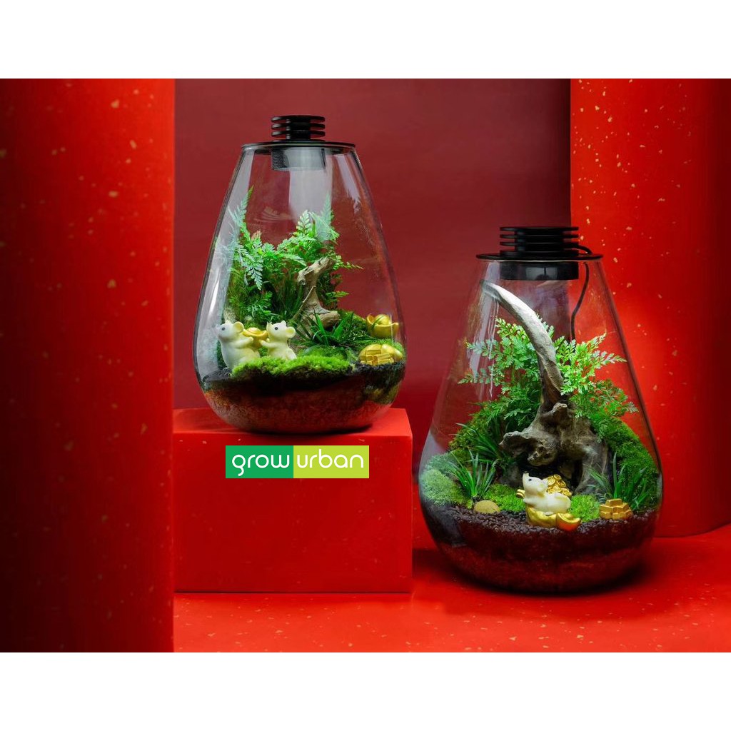 Terrarium Tank Living Light Glass Bottle Terrarium LED Cover Paludarium