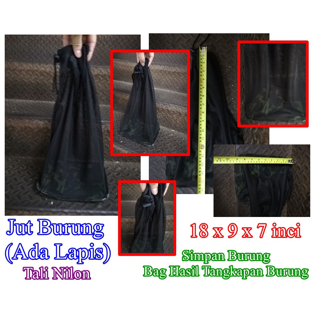 740 Gambar Burung Net Net Gratis Terbaru