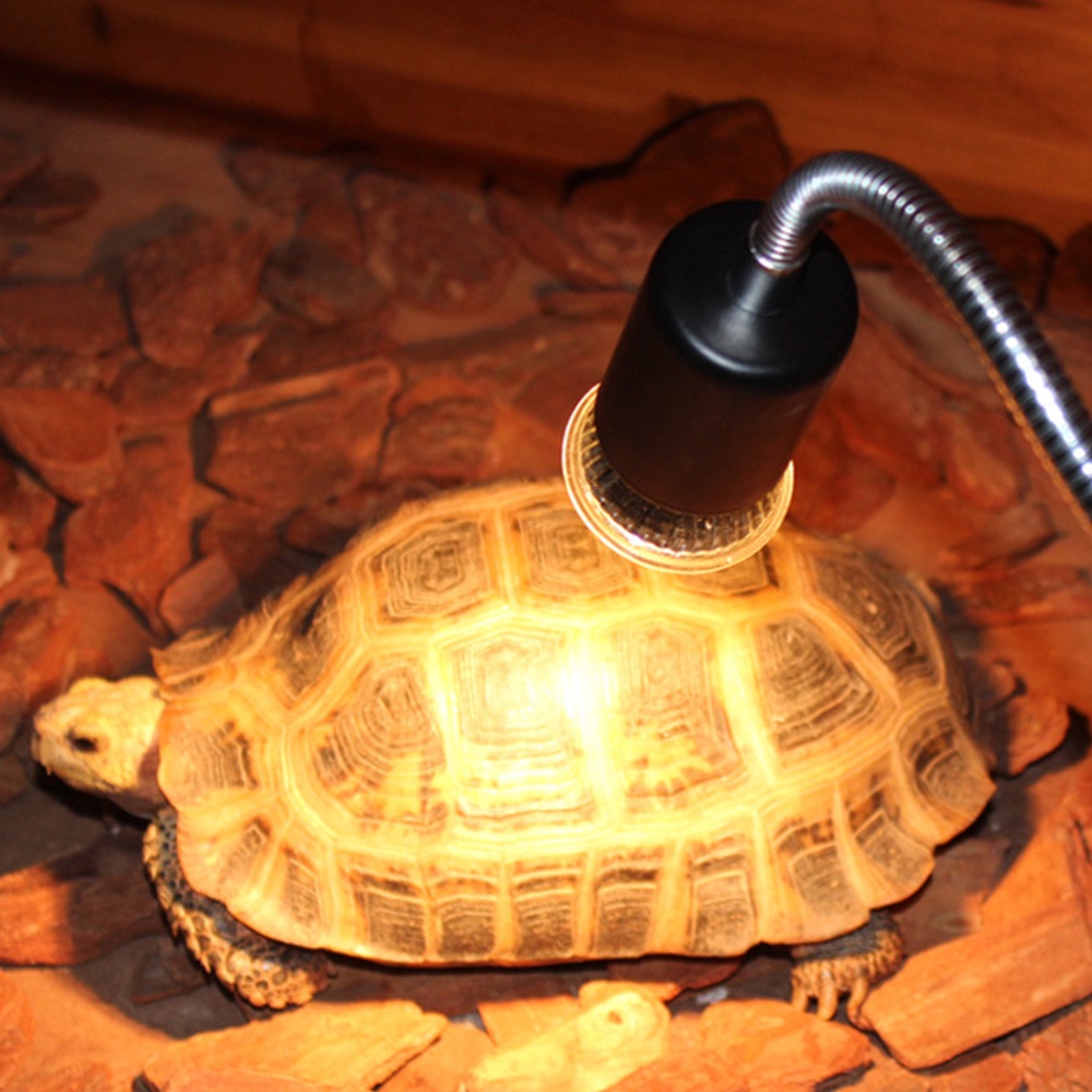Tortoise Heat Bulb 75w Ceramic Infrared Lamps Lamp For Reptiles And