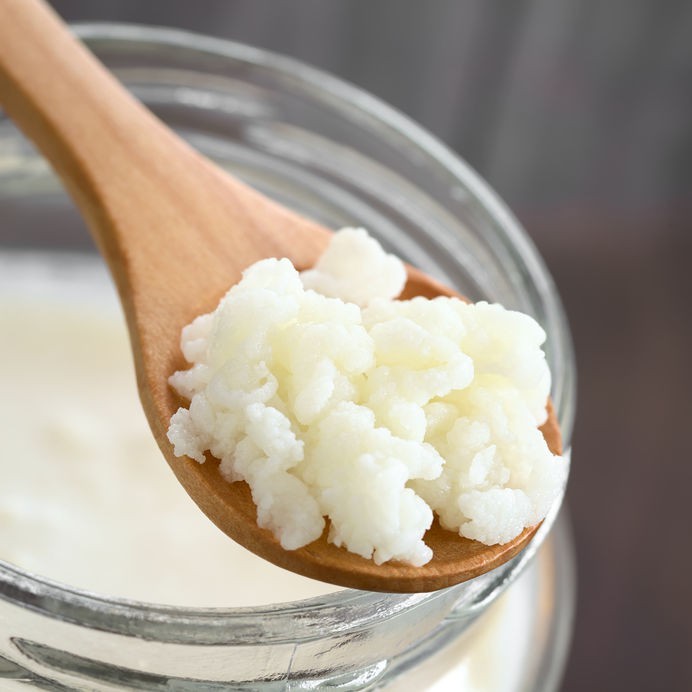 Live Milk Kefir Grains Shopee Singapore