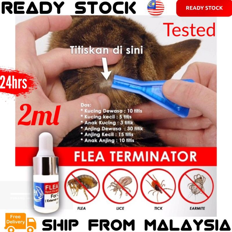 [Shop Malaysia] 2ml Local Veterinarian PA Flea Terminator Drop Spot on kill  flea tick lice earmite kutu Pet Haiwan Kitten Cat Dog Puppy