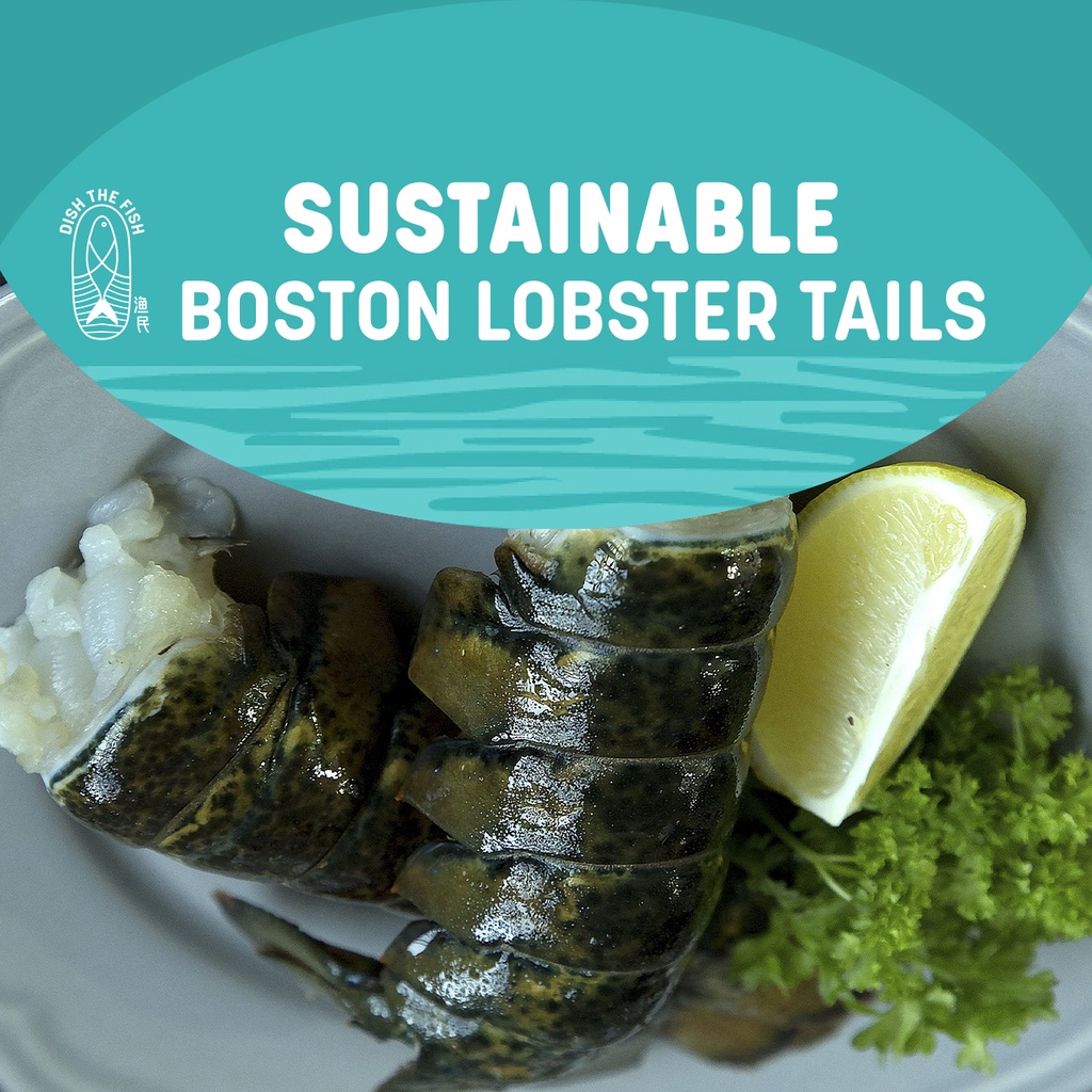 Dish The Fish Wild Sustainable Frozen Lobster Tails (3 In A Pack)