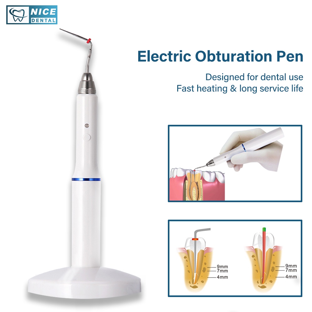 Dental Gutta Percha Tooth Gum Cutter Endo Gutta Cutter Gutta Percha ...