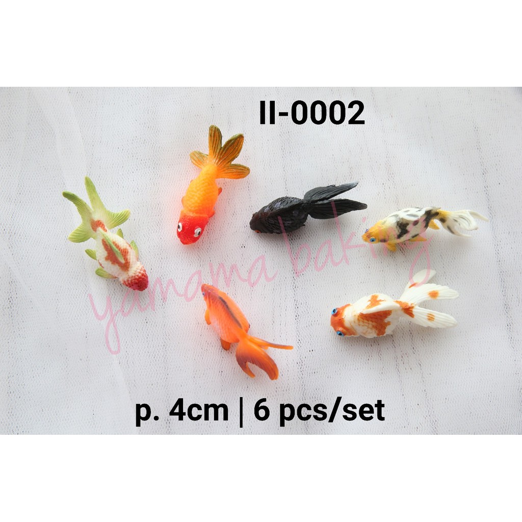 92 Fish Koi In Aquarium HD Terbaru