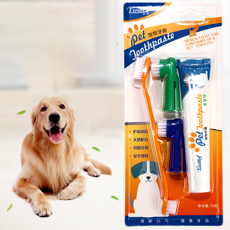 small dog toothbrush and toothpaste