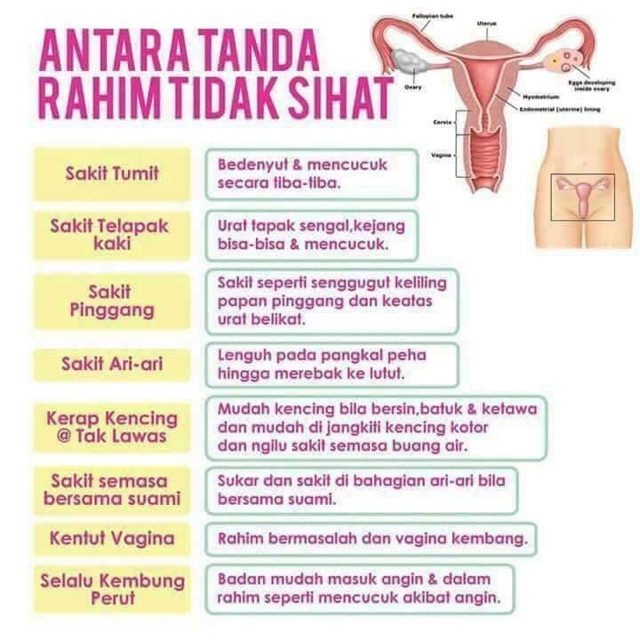 Manjakani Approach Xtra Original Shopee Singapore