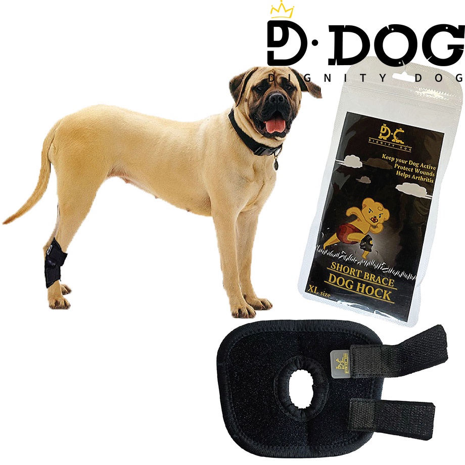 【 DIGNITYDOG 】 Korean pet health training supplies joint knee patella protector sprain prevention black S M L types