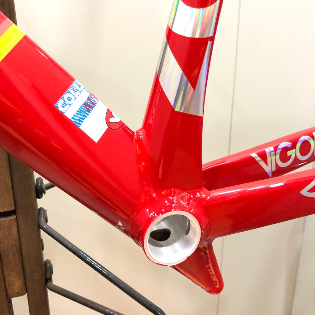 vigorelli shark frame