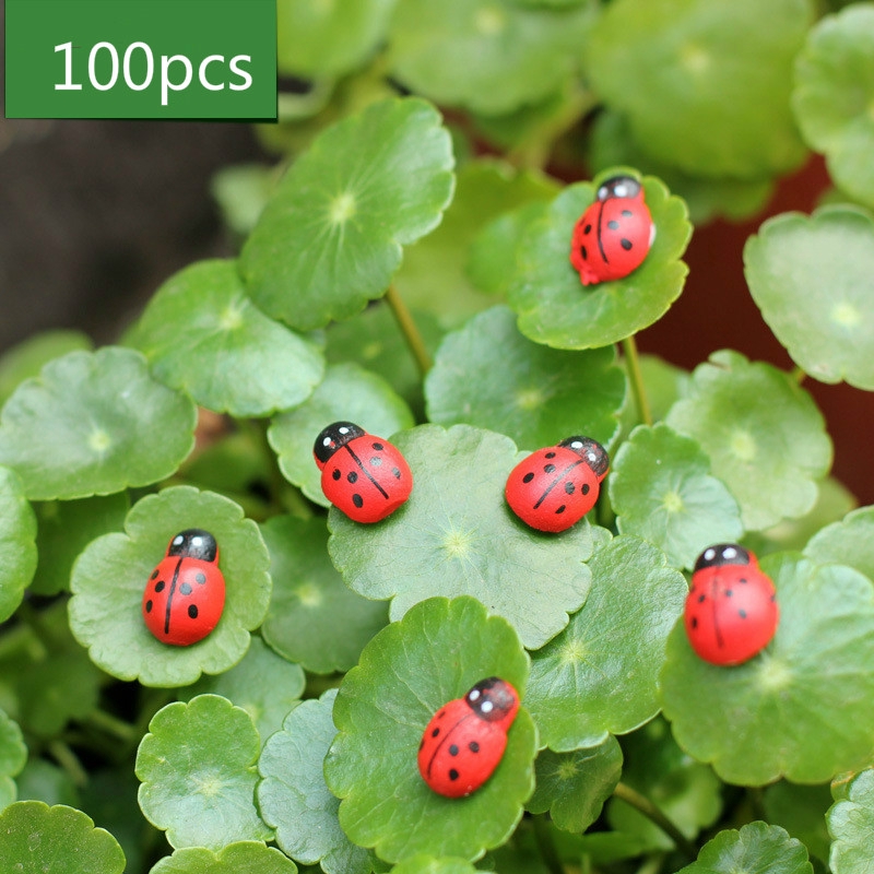 100 Pcs Micro Landscape Ladybird Wood Craft Ladybug Diy Home Decor Shopee Singapore