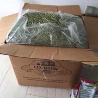 Fresh oxbow Timothy hay wholesale price rabbit hamster delivery included!