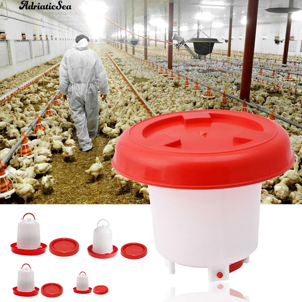 Adri 1pc Chicken Feeder Drinker Poultry Quail Bantam Water