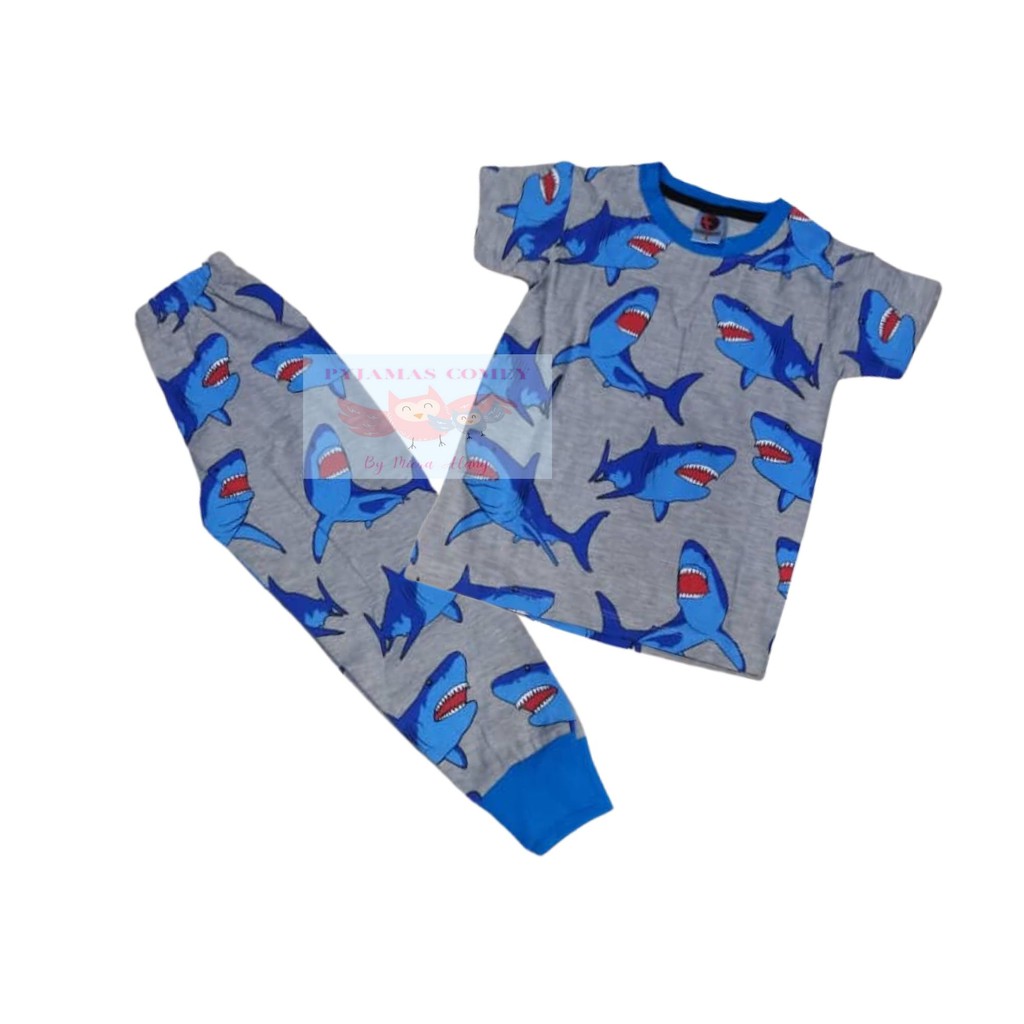 Shop Malaysia F T Baju Tidur Kanak Kanak Pyjamas Boys Girls Variety Design Tag 2 10 Kids Shopee Singapore