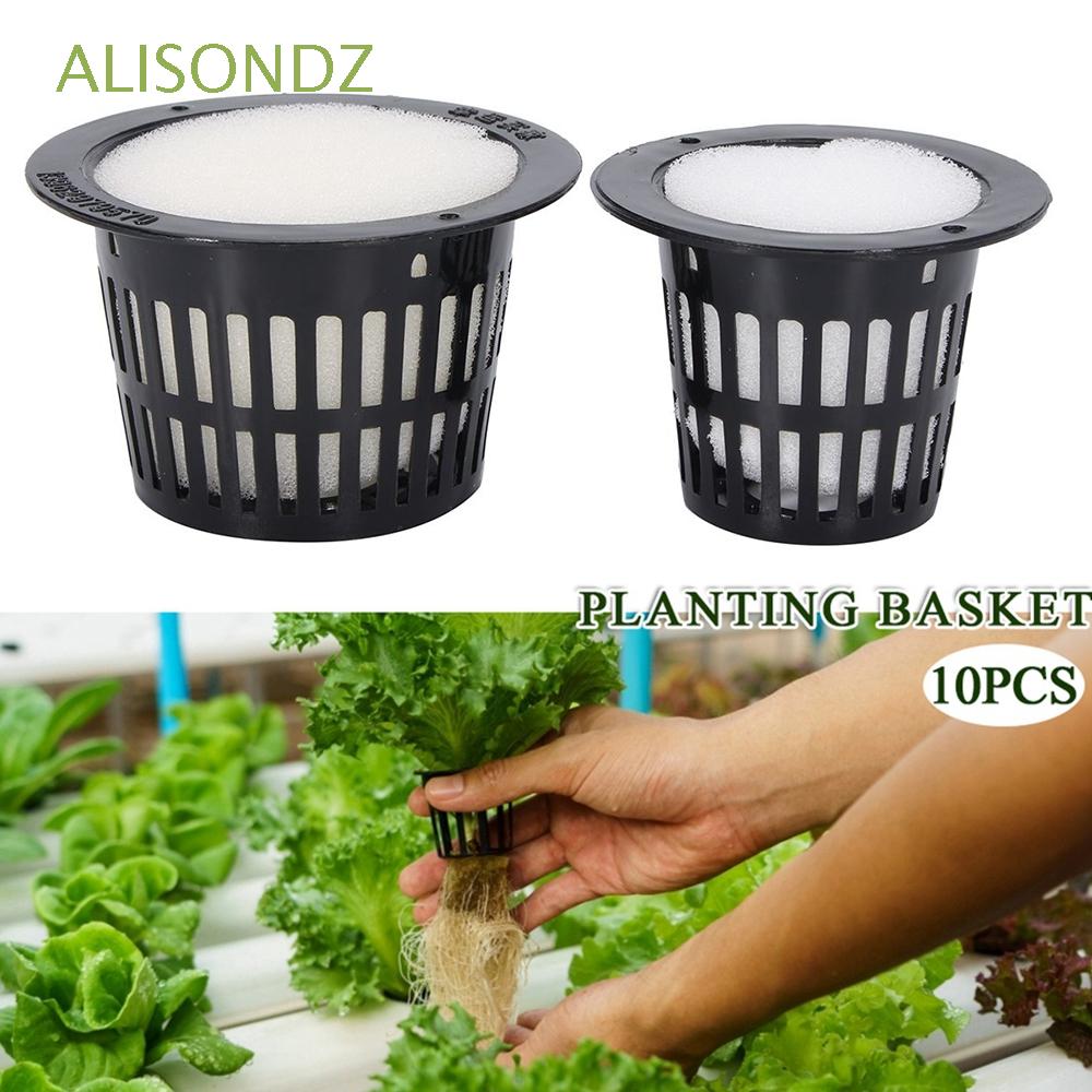 ALISONDZ Heavy Duty Mesh Pot Germinate Net Cup Nursery Pots Foam Insert