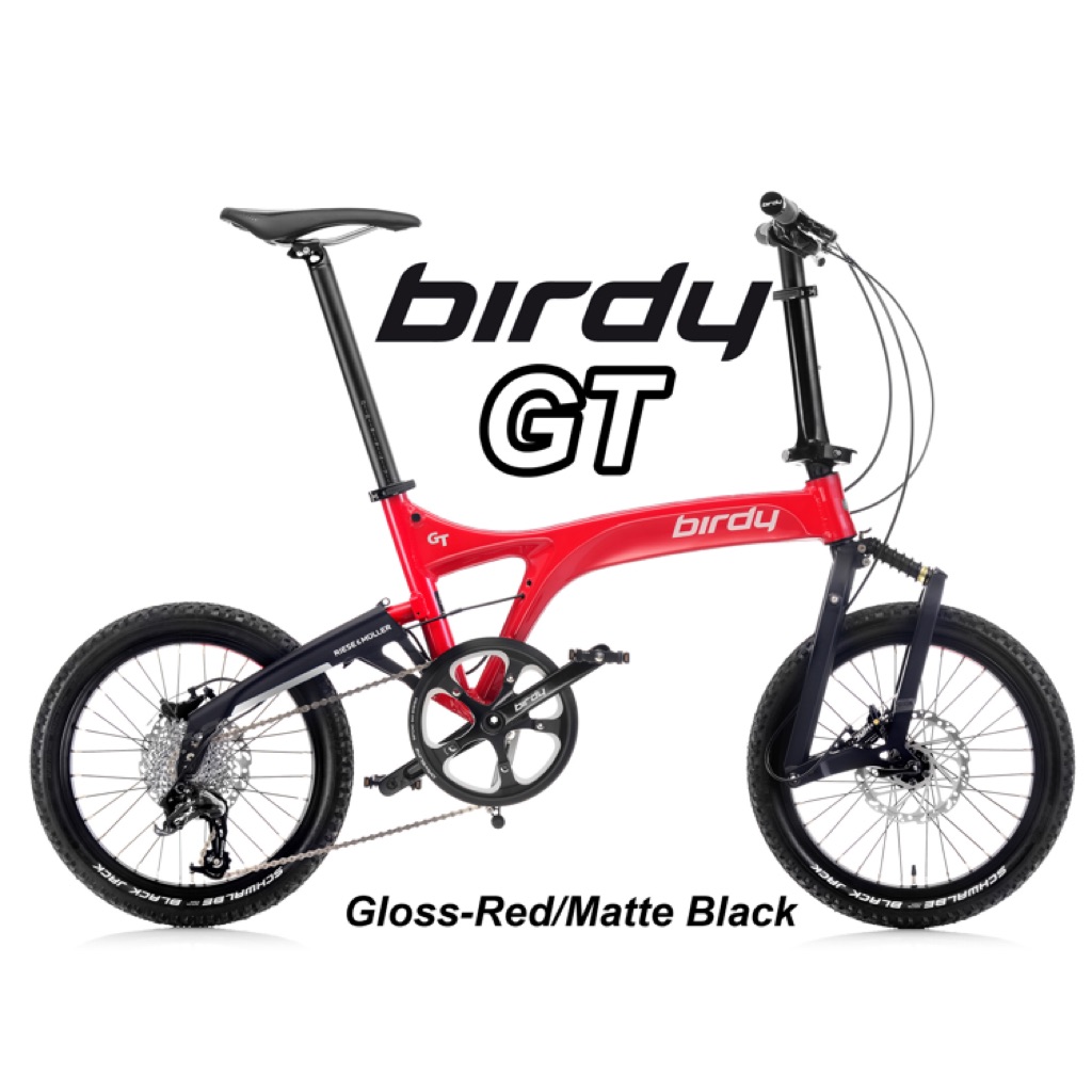 birdy bike review 2020