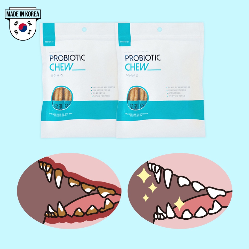 Doctor By probiotics chew puppy dental gum lactobacillus teeth snack