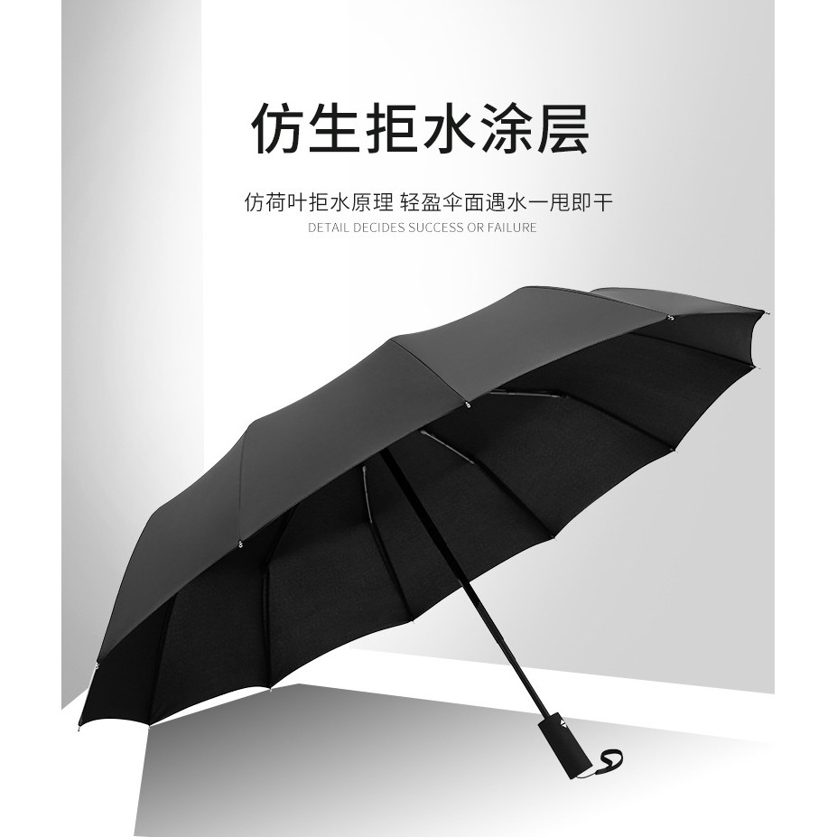 12 Bone Automatic Umbrella 12骨全自动雨伞 Shopee Singapore