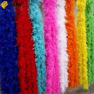 JANE 2M Costume Feather Boa Strip DIY Craft Grament Accessaries Feathers Fluffy Party Decoration Party Fancy Dress Wedding Supplies Cosplay Apparel Fabric/Multicolor