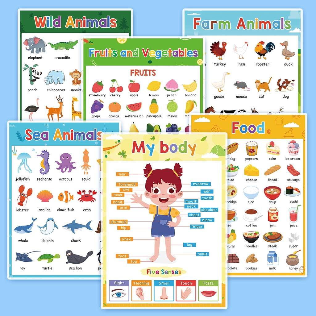 6 Pcs Fruits Food Body Parts Wild/Sea /Farm Animals English Words Classroom  A4 Poster Learning Educational Posters for Kids Baby | Shopee Singapore