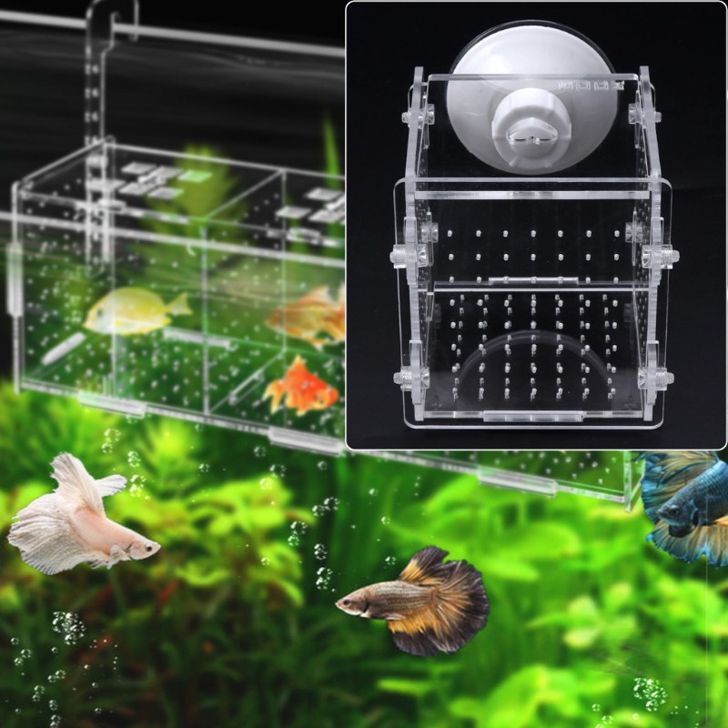 [SG stock]Aquarium Fish Breeding Isolation Box Fish Baby Fish Tank ...