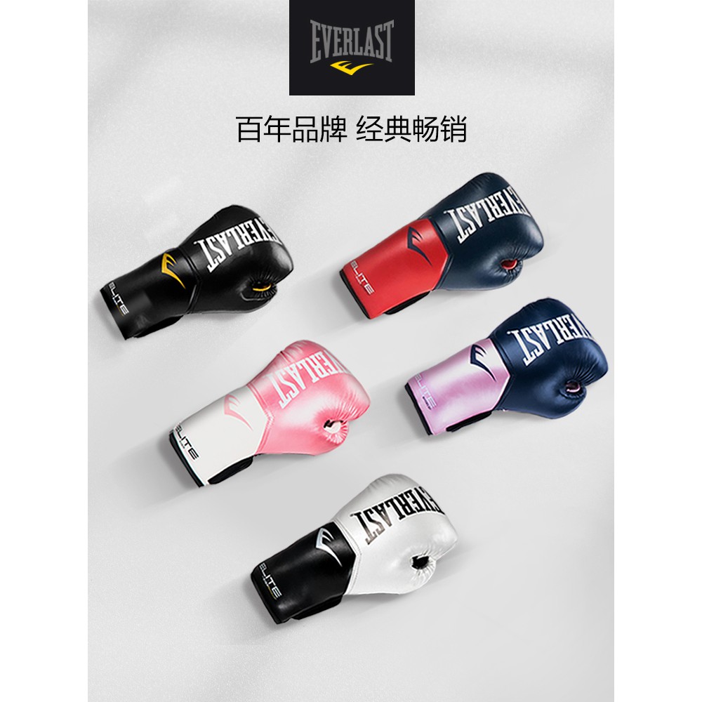 everlast training