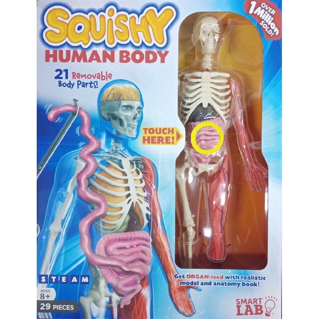 the squishy human body