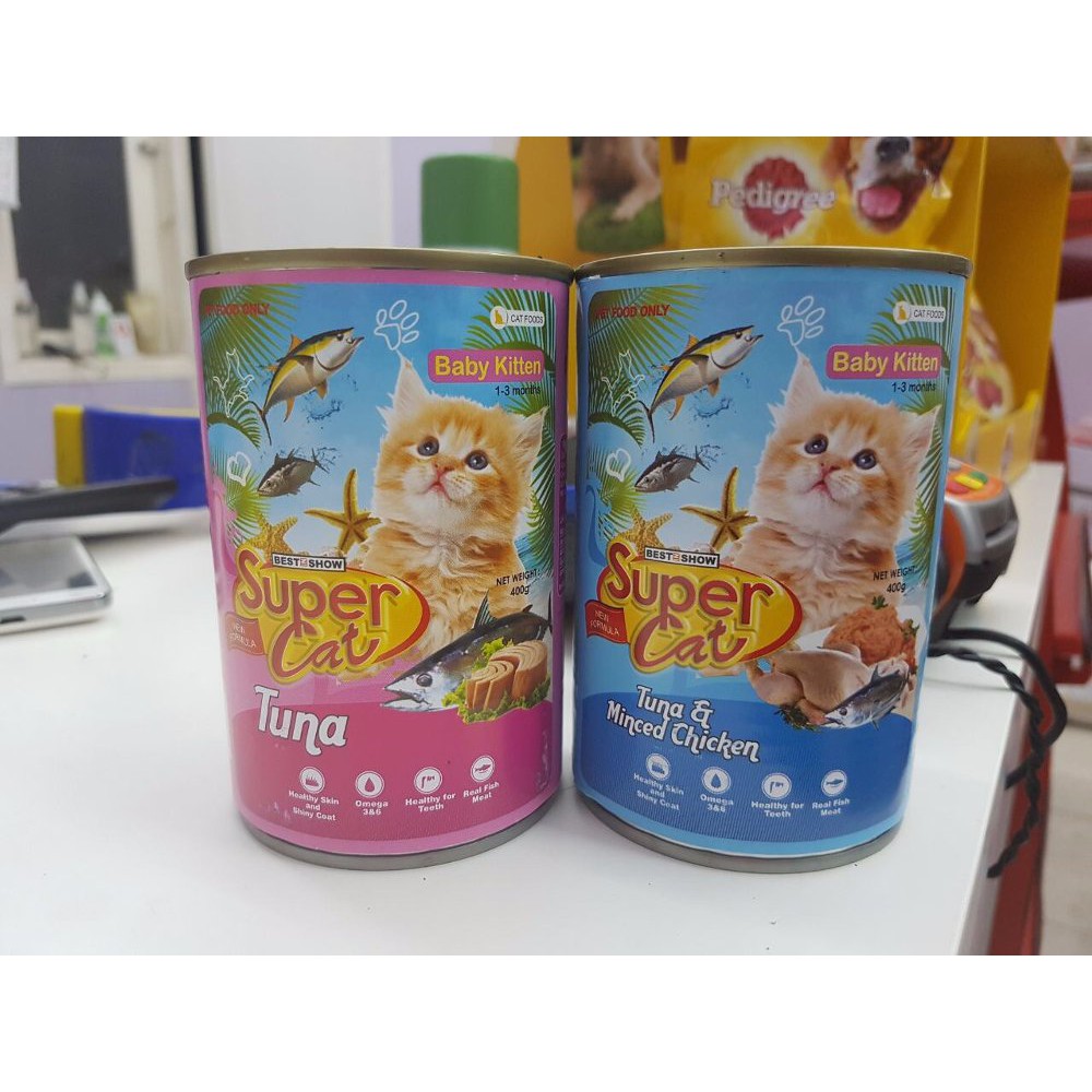 super cat baby kitten