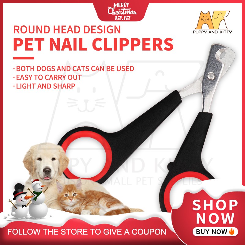 How Do You Clean Dog Grooming Scissors