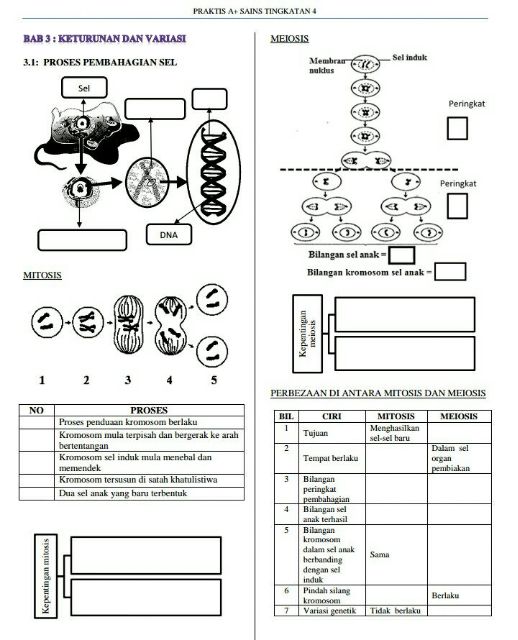 Latihan Sains Tingkatan 4 Wallpaper