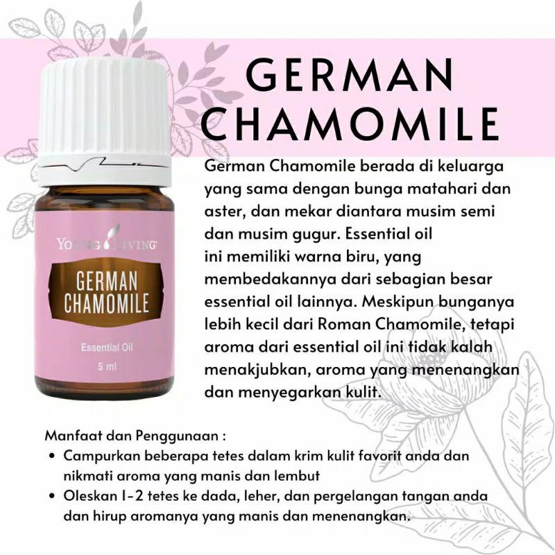 German Chamomile Essential Oil 5ml Yl Yleo Guaranteed Ori Original 100 Shopee Singapore