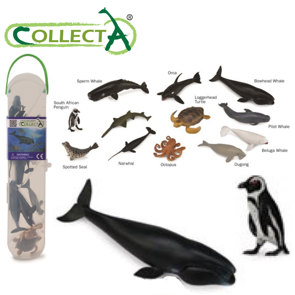 Collecta 12PCS Of Mini Sea Life Animals Box Set Action Figures / Toys  Figurines Collection Model A1108 | Shopee Singapore