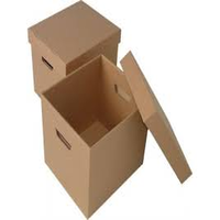Hộp Carton