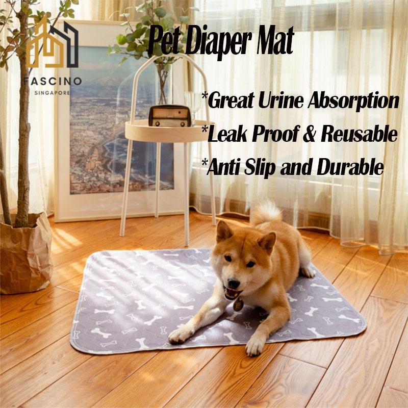 How Do You Pee Proof A Dogs Rug