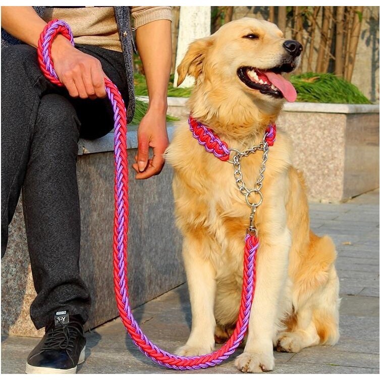 chain leash for large dogs