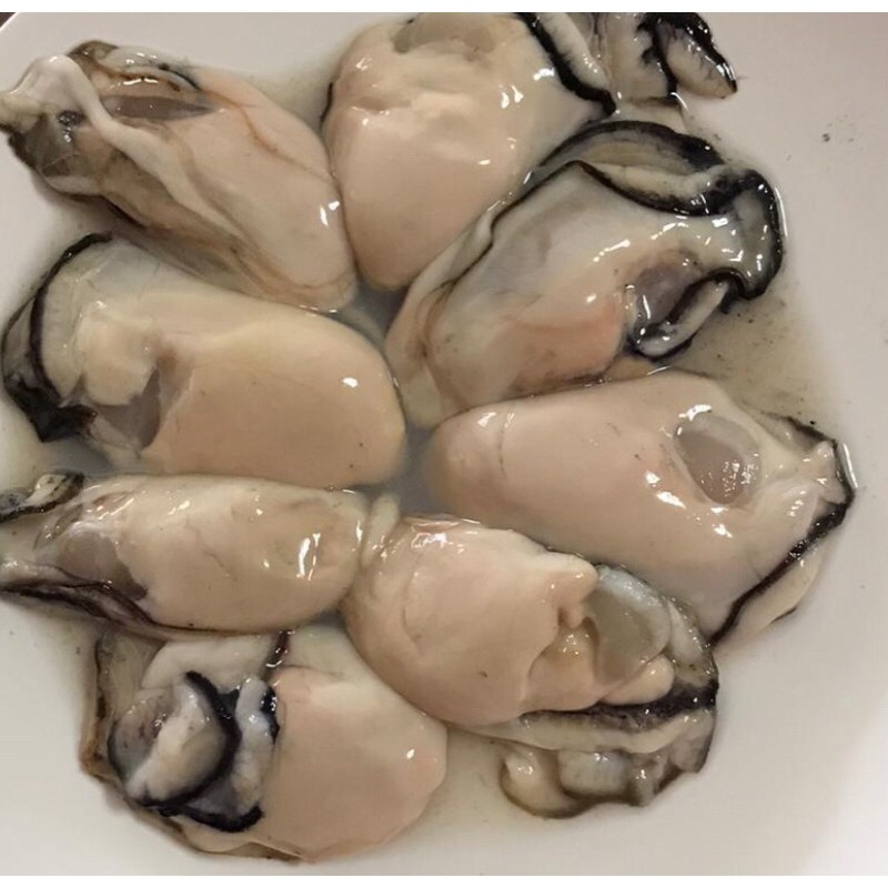 JAPAN Oyster Oysters Shopee Singapore